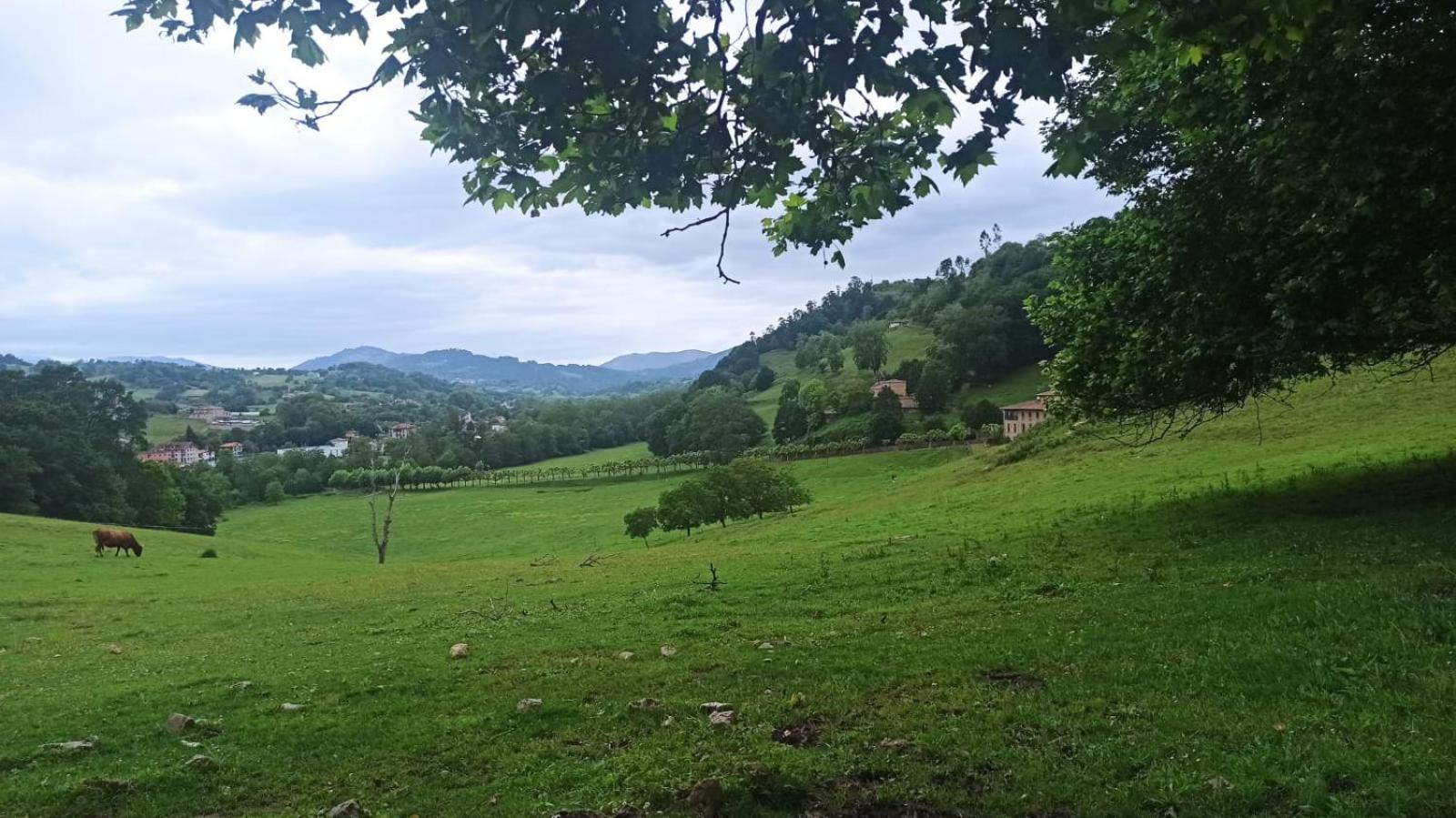 Sorribas  Casa Rural La Collada المظهر الخارجي الصورة